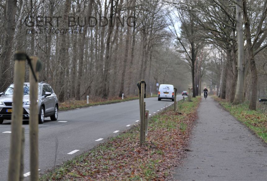 Vandalen vernielen zeven boompjes van tien centimeter doorsnede in Renkum en Wolfheze